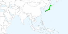 Japan's stocks supported Chartoasis Chili